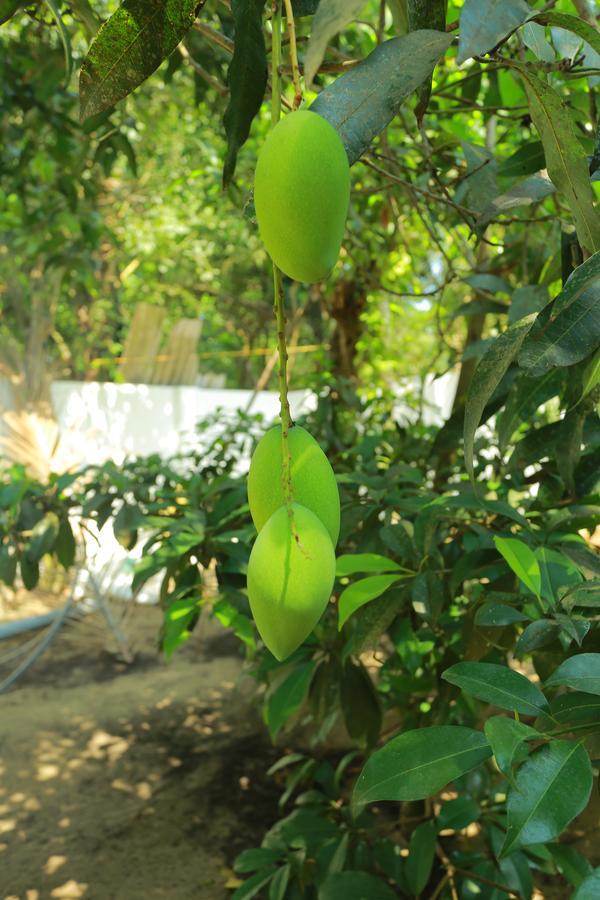 Marari Coastal Dreams Home Stay Alappuzha Exterior photo