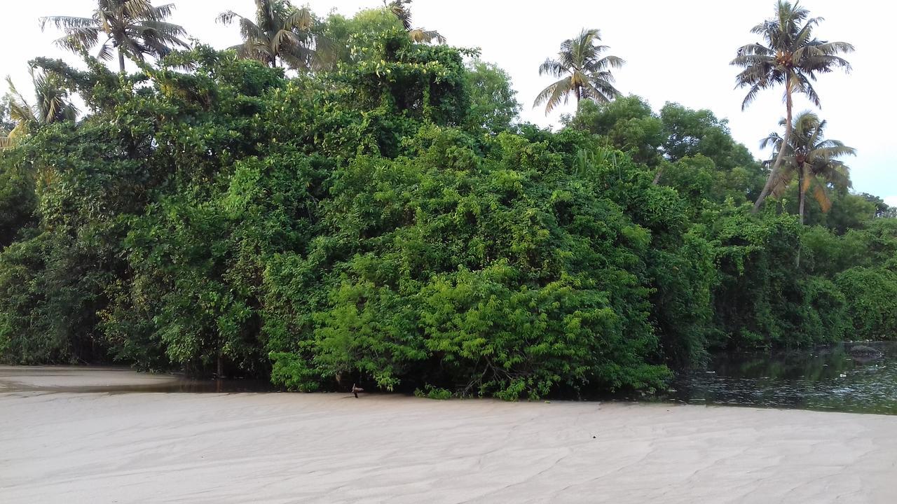 Marari Coastal Dreams Home Stay Alappuzha Exterior photo